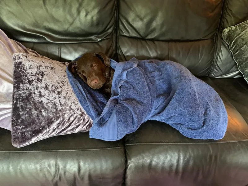 Gallery - created at 2021-06-30 13:57:57 - image 17