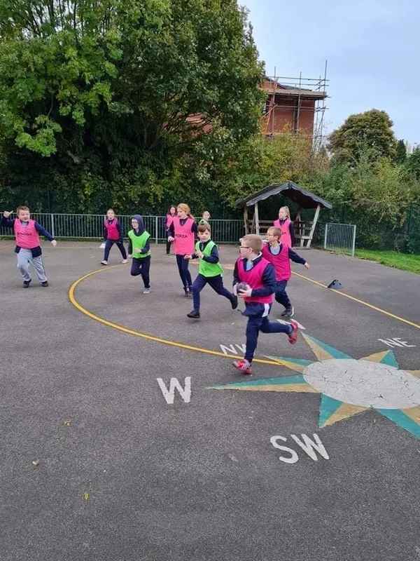 Y4 Paceball - image 2