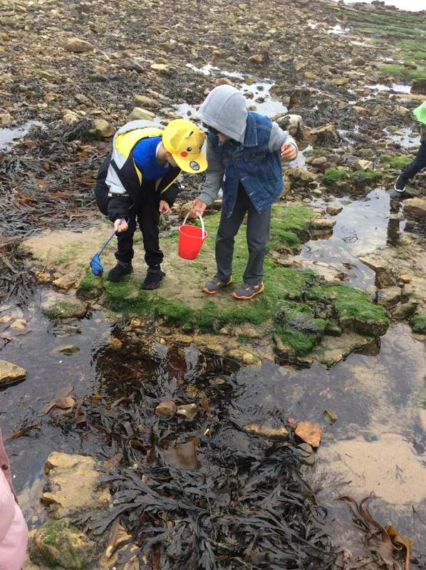 Gallery - created at 2024-05-23 10:29:28 - image 3