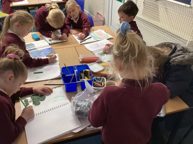 Forest Art  - image 1