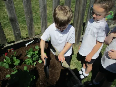 Planting - image 11