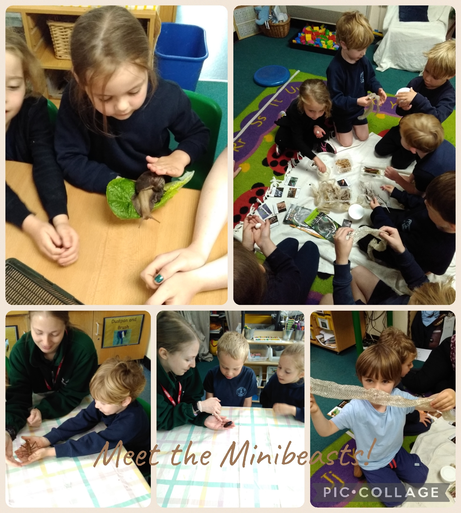 Shaldon Zoo Encounter
