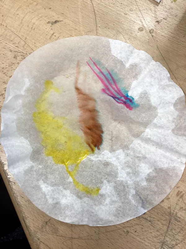 Science Week 2026 - image 61