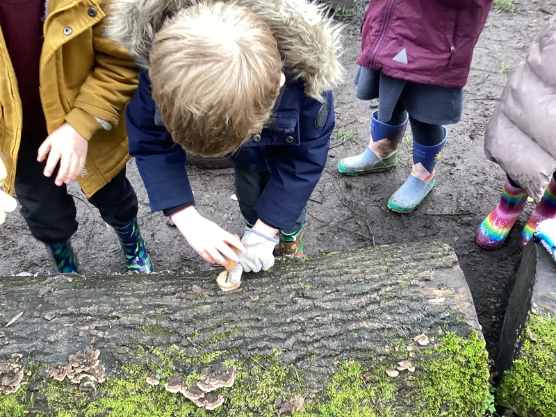 Palm drill decorations  - image 17