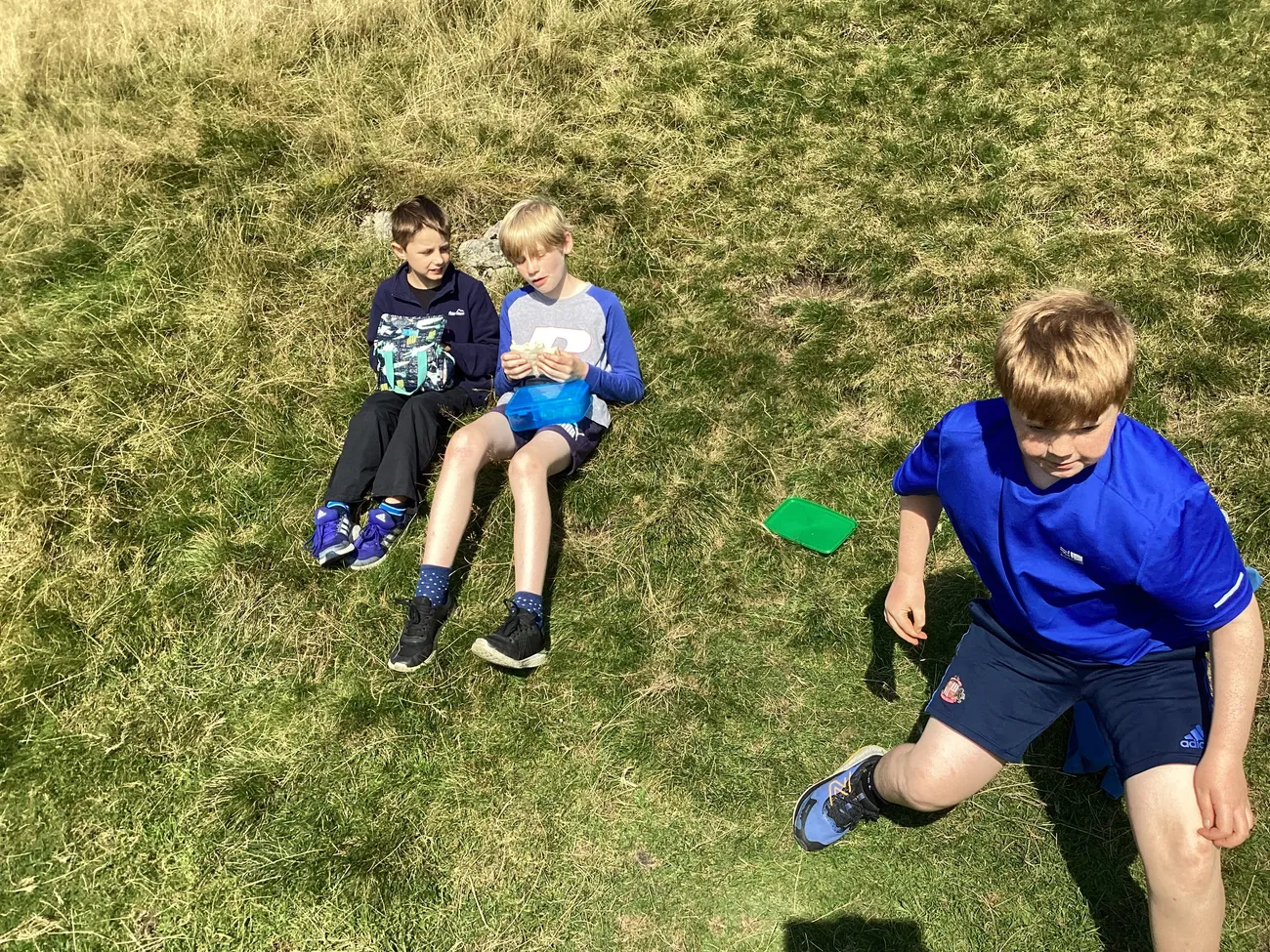 Gallery - created at 2024-09-19 19:43:35 - image 1 Gallery - created at 2024-09-19 19:43:35 - image 1