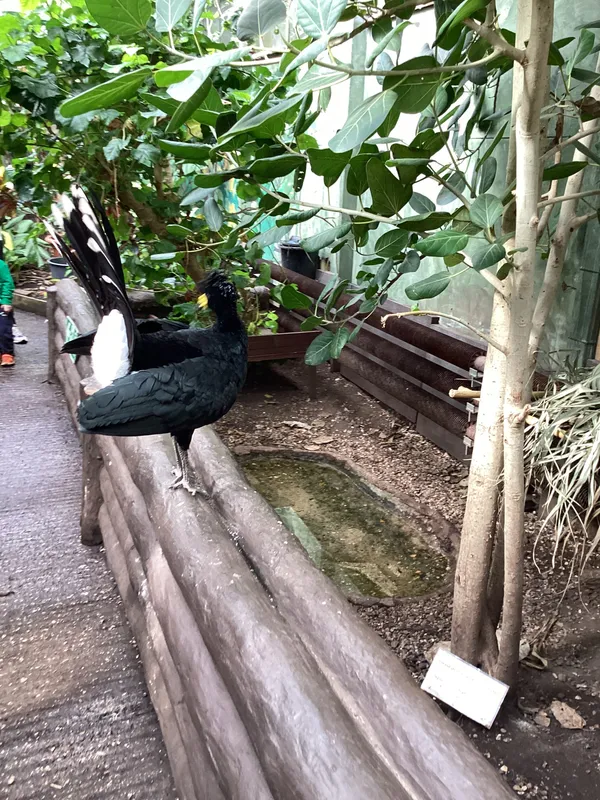 Gallery - created at 2025-03-14 10:11:21 - image 12 Gallery - created at 2025-03-14 10:11:21 - image 12