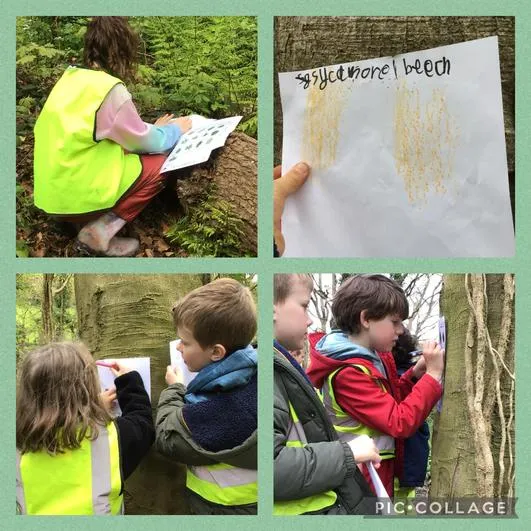 Forest School 39 - image 4 Forest School 39 - image 4