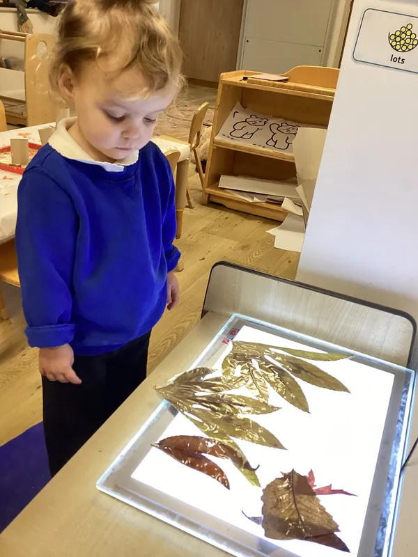 Gallery - created at 2025-01-07 08:32:32 - image 41