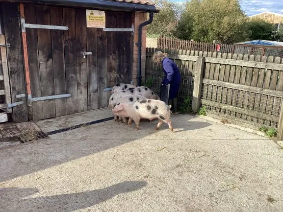 Farm 2025 - Gallery 3 - image 22