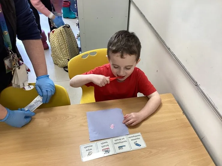 Maple Class - image 4