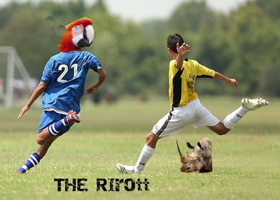 GDS.jpg
