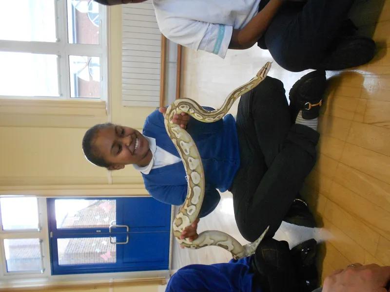 Y6 Reptile Rendezvous - image 52