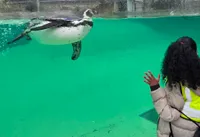 Chester Zoo Trip 2026 - image 7