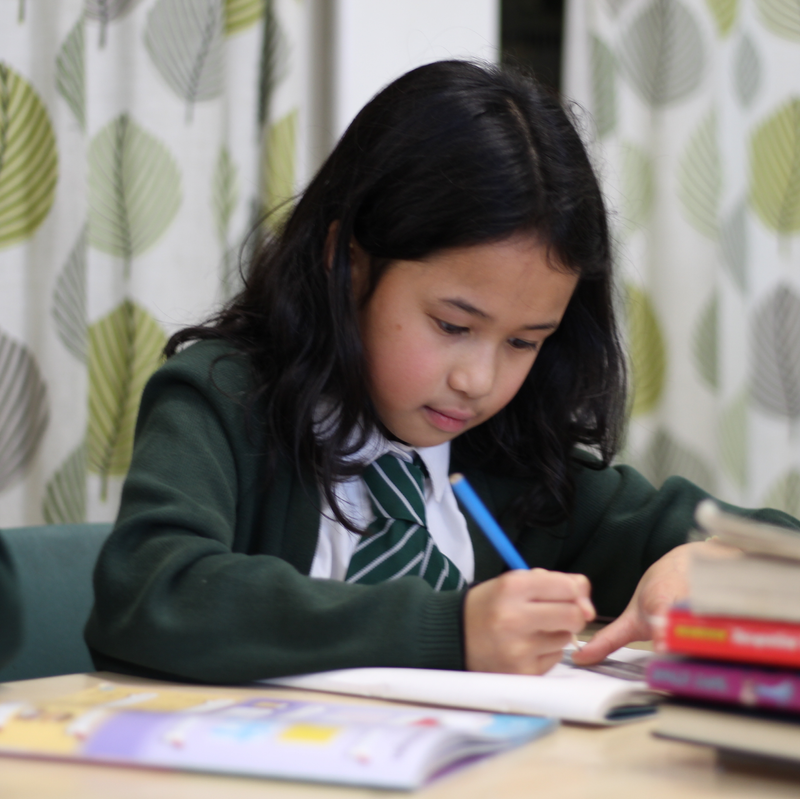 Hafan / Home | Mountain Lane School