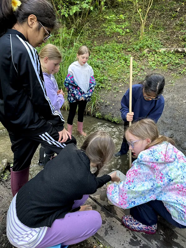 Drews Pond Woods - image 25
