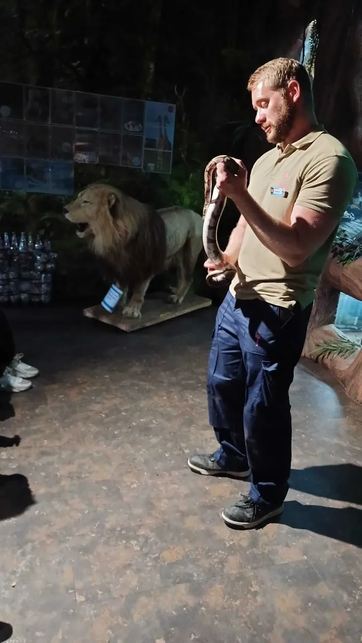 Gallery - created at 2024-06-06 15:03:55 - image 17