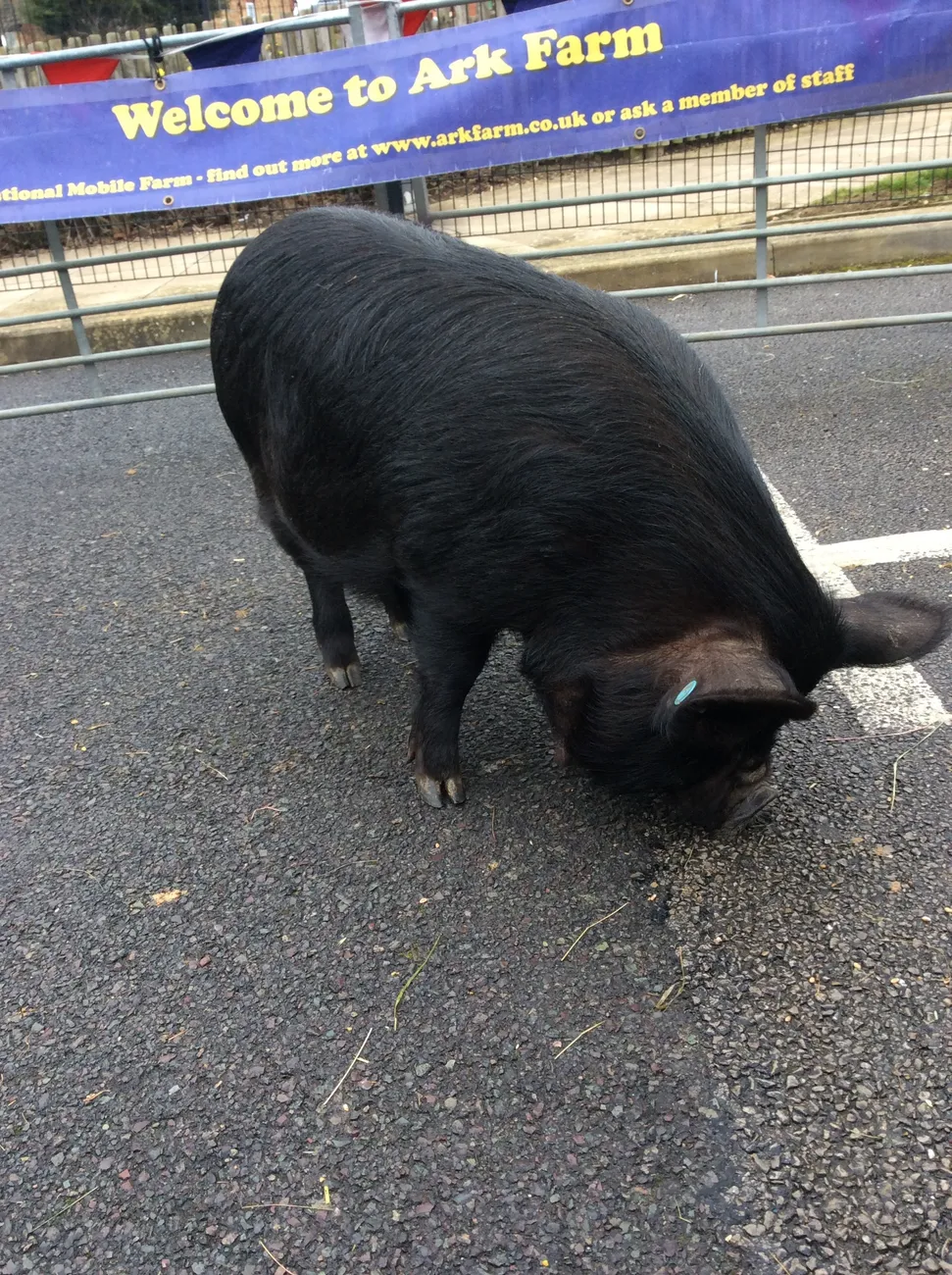 Gallery - created at 2023-03-03 16:33:51 - image 6