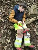 Forest School 141 - image 1 Forest School 141 - image 1