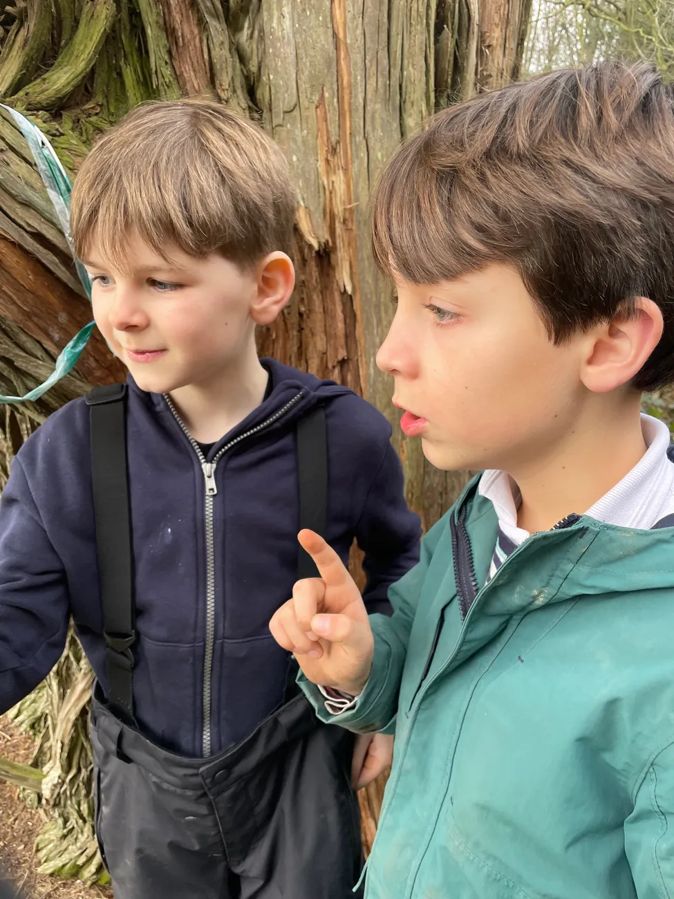 Gallery - created at 2024-02-24 14:03:51 - image 7