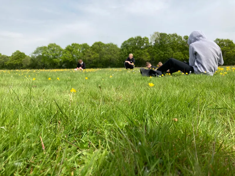 Gallery - created at 2022-12-06 11:29:49 - image 2