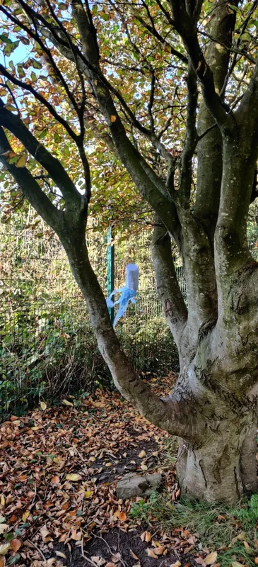 Gallery - created at 2025-05-18 09:46:55 - image 6 Gallery - created at 2025-05-18 09:46:55 - image 6