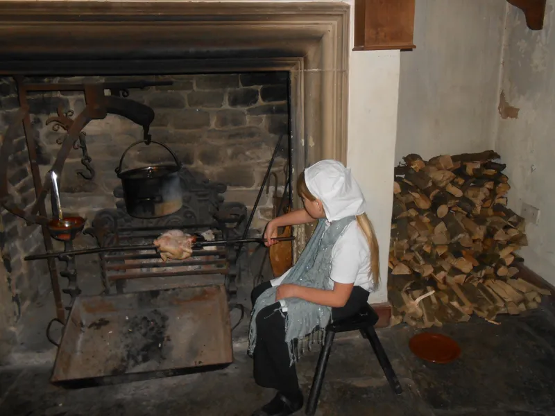 Gallery - image 15