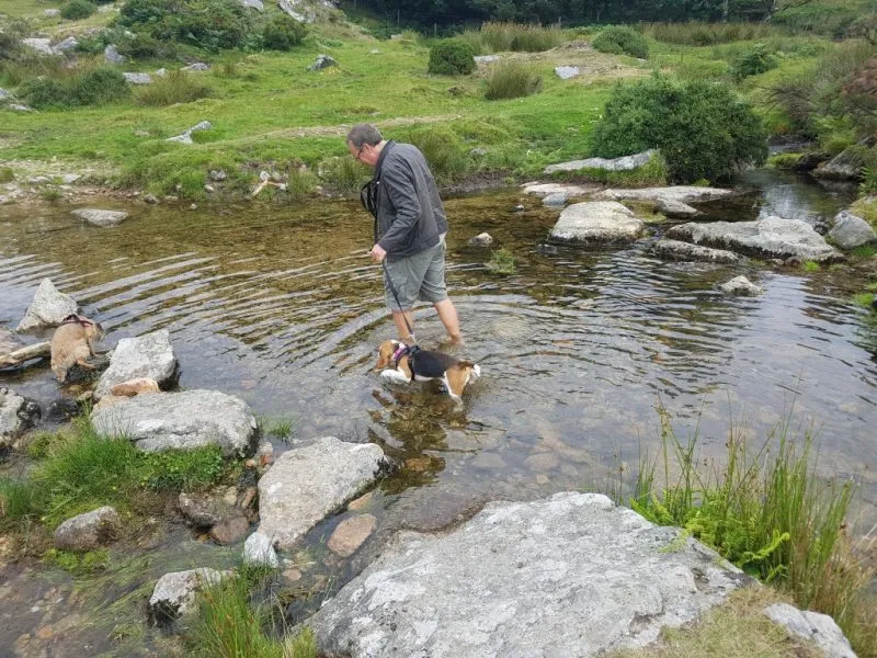 Our School - Bella 7 - image 1