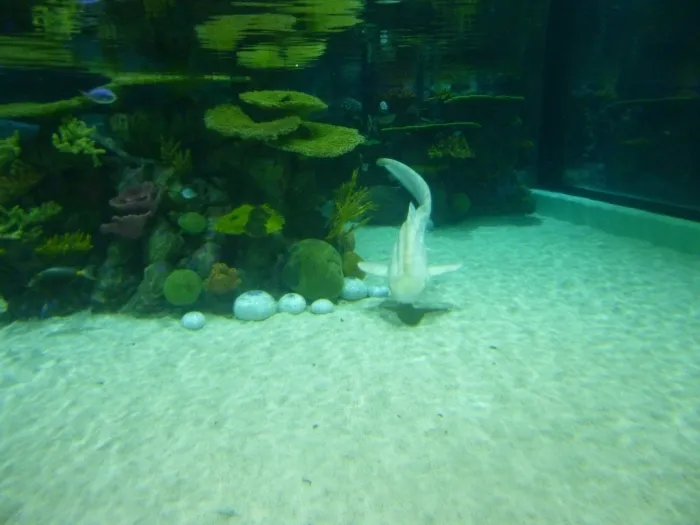 Gallery - created at 2018-07-13 21:34:54 - image 21 Gallery - created at 2018-07-13 21:34:54 - image 21