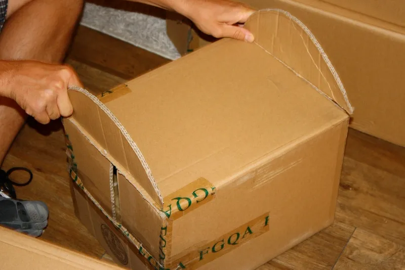 Gallery - created at 2022-01-09 20:49:32 - image 1