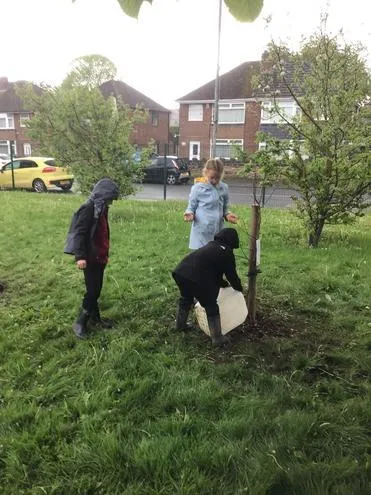 Gallery - created at 2024-12-05 13:35:53 - image 11 Gallery - created at 2024-12-05 13:35:53 - image 11