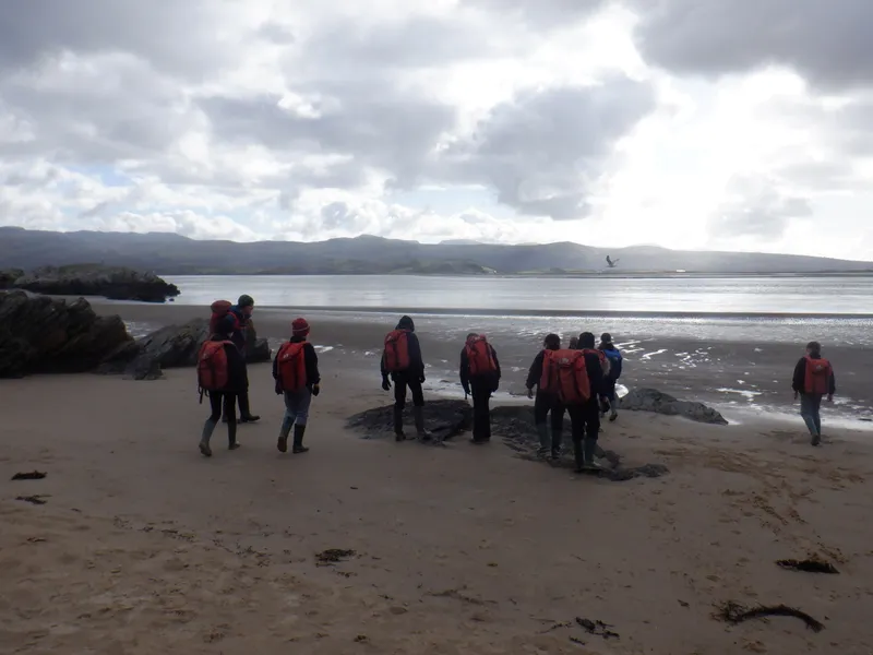 Gallery - created at 2025-02-27 19:57:56 - image 52