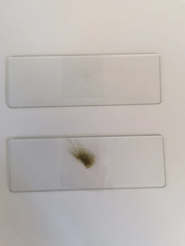 Gallery - created at 2021-03-14 14:39:05 - image 11