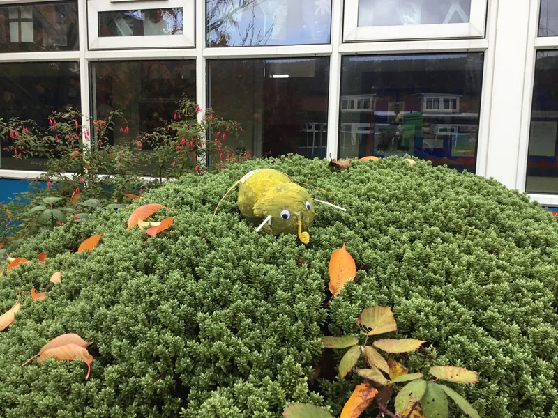 Gallery - created at 2019-11-06 20:19:44 - image 22 Gallery - created at 2019-11-06 20:19:44 - image 22