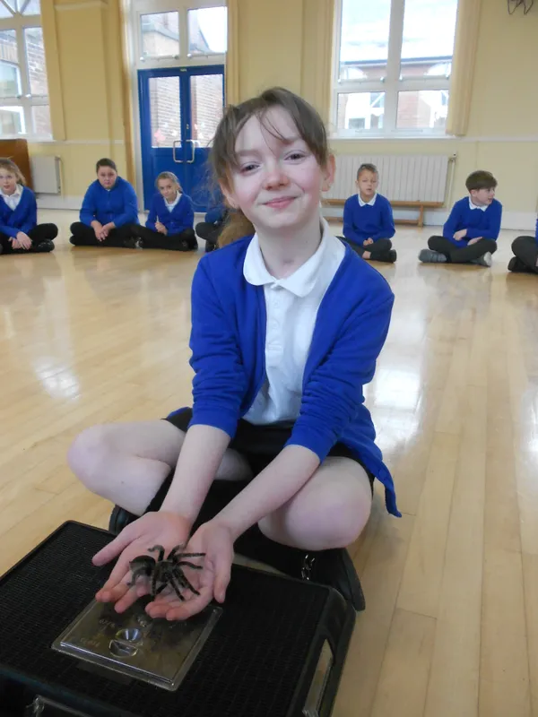 Y6 Reptile Rendezvous - image 72