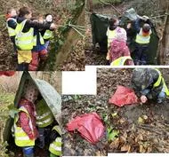 Forest School 78 - image 4 Forest School 78 - image 4