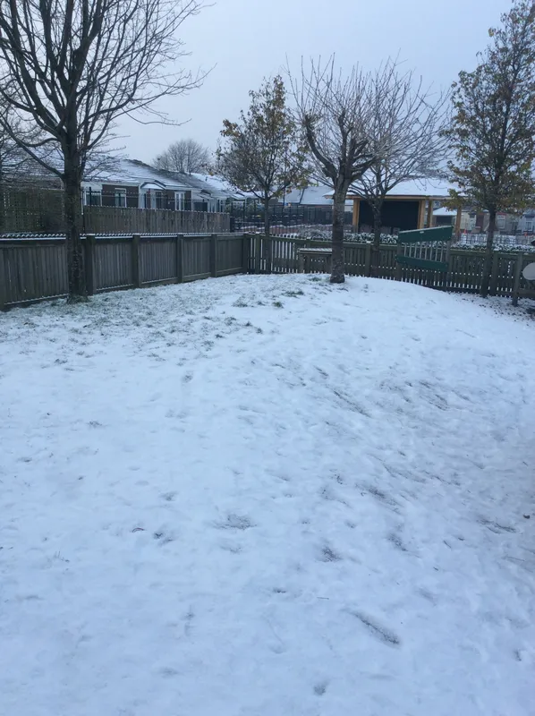 Gallery - created at 2022-12-15 12:27:59 - image 8