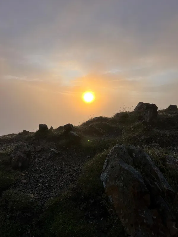 Gallery - created at 2024-07-17 15:19:36 - image 4 Gallery - created at 2024-07-17 15:19:36 - image 4