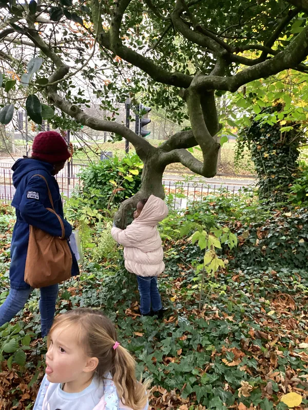 Gallery - created at 2024-11-08 10:10:59 - image 74 Gallery - created at 2024-11-08 10:10:59 - image 74