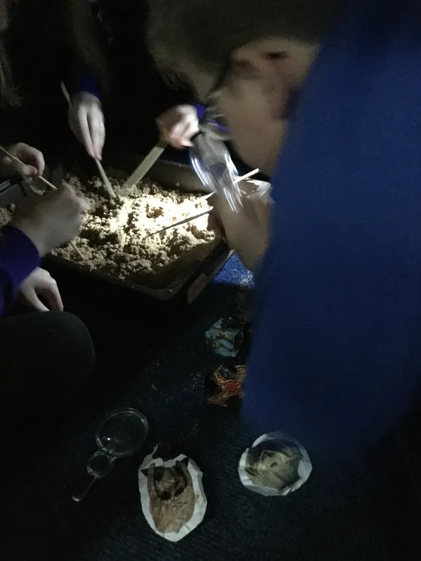 Gallery - created at 2019-11-15 15:57:03 - image 5 Gallery - created at 2019-11-15 15:57:03 - image 5