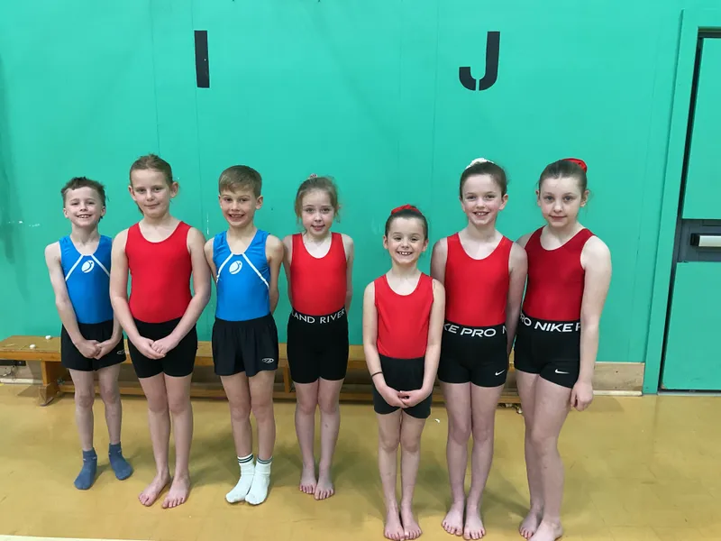 Gymnastics Competition 2026  - image 4
