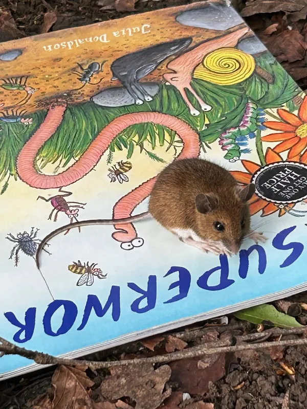 Gallery - created at 2024-04-26 14:31:01 - image 4