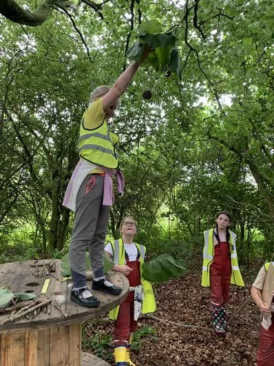 Summer 2023 - 5th July - Oaks - Parachutes (air resistance experiments) - image 1 Summer 2023 - 5th July - Oaks - Parachutes (air resistance experiments) - image 1