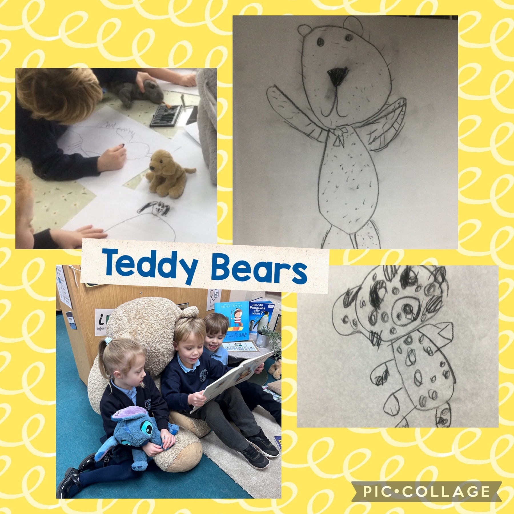 Bears