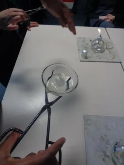 Gallery - created at 2020-11-25 12:50:26 - image 3