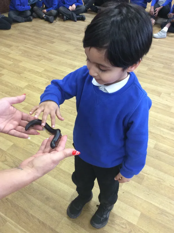 Gallery - created at 2024-03-05 13:52:56 - image 46 Gallery - created at 2024-03-05 13:52:56 - image 46