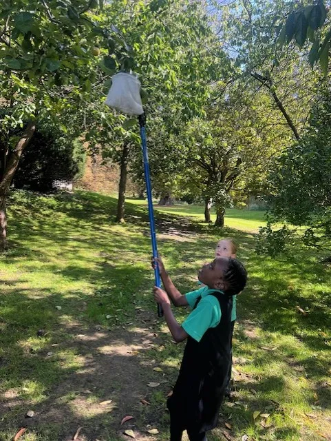 Apple Picking 2025 in Hendred House Garden - image 2