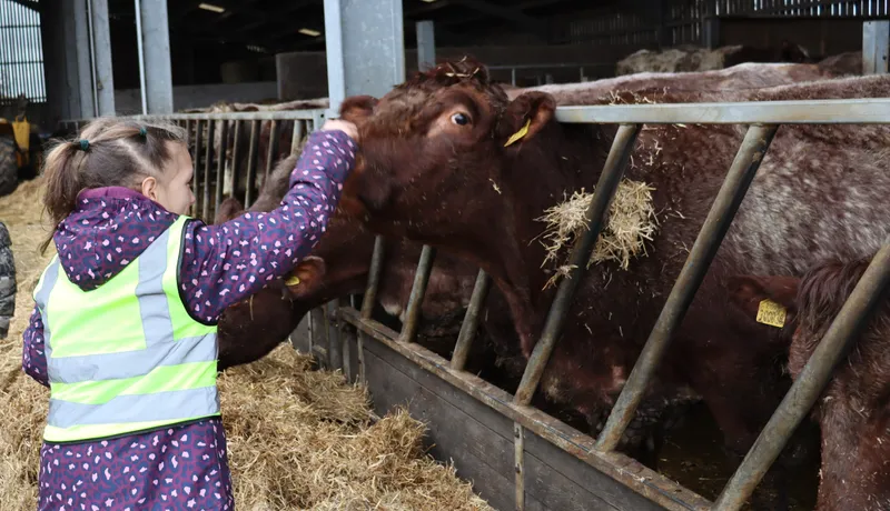 Farm march '26 - image 16 Farm march '26 - image 16