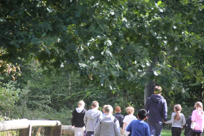 Gallery - created at 2018-10-23 12:06:09 - image 1