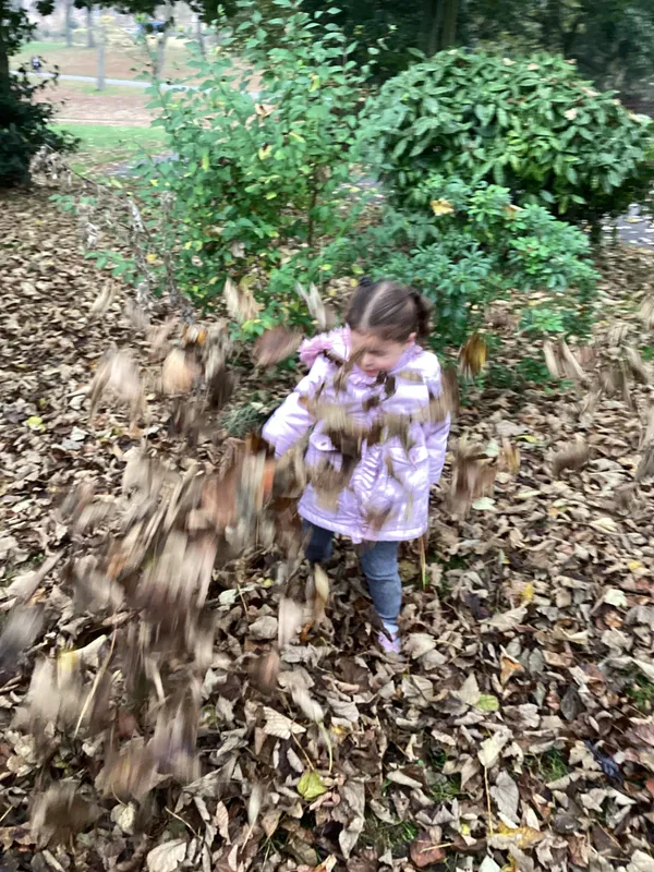 Gallery - created at 2024-11-08 10:10:59 - image 61 Gallery - created at 2024-11-08 10:10:59 - image 61