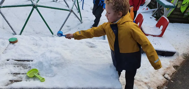 Gallery - created at 2023-01-11 17:02:45 - image 6